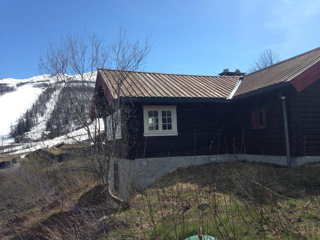Villa Alpelia Hemsedal Exterior foto
